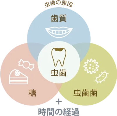 なぜ虫歯になるのか